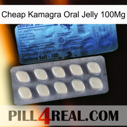 Cheap Kamagra Oral Jelly 100Mg